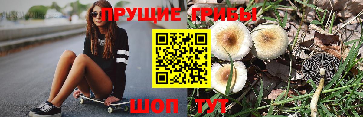 Псилоцибиновые грибы Psilocybine cubensis  Вход с VPN  Топки 